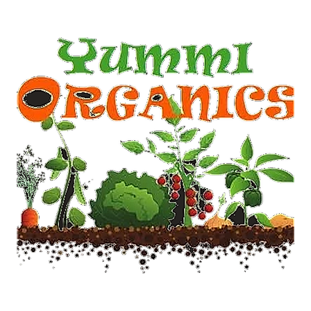 Yummi Organics logo